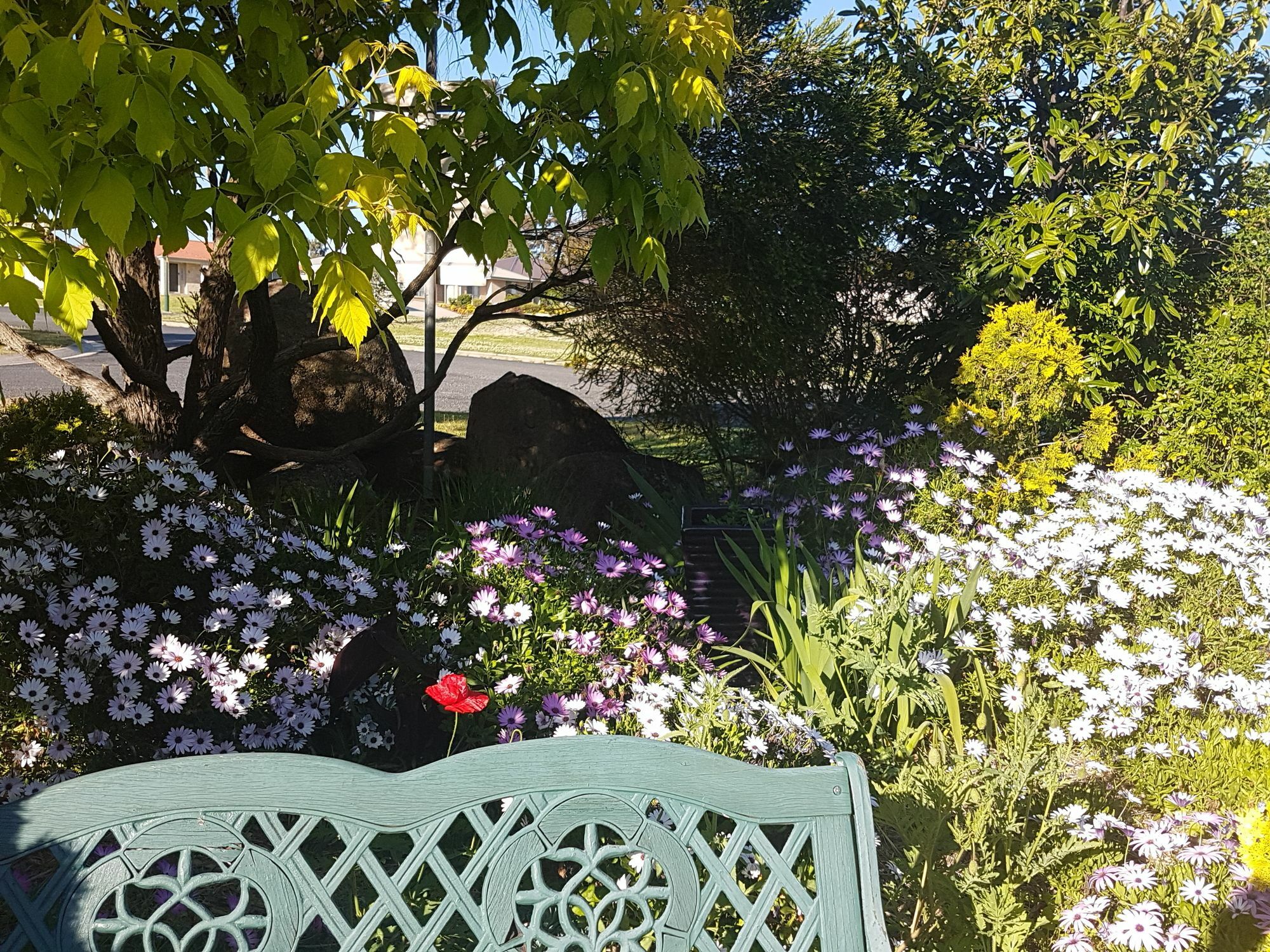 Grovely House Bed & Breakfast Stanthorpe Ngoại thất bức ảnh