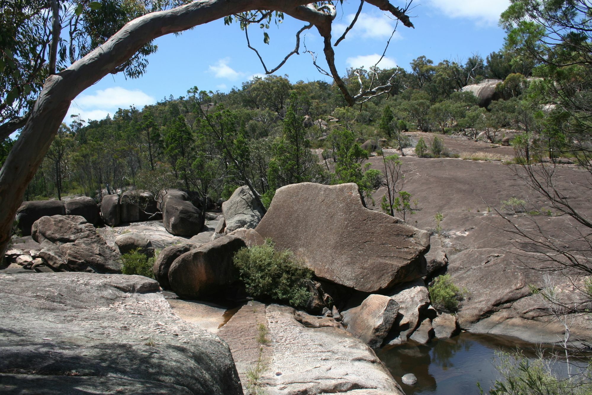 Grovely House Bed & Breakfast Stanthorpe Ngoại thất bức ảnh