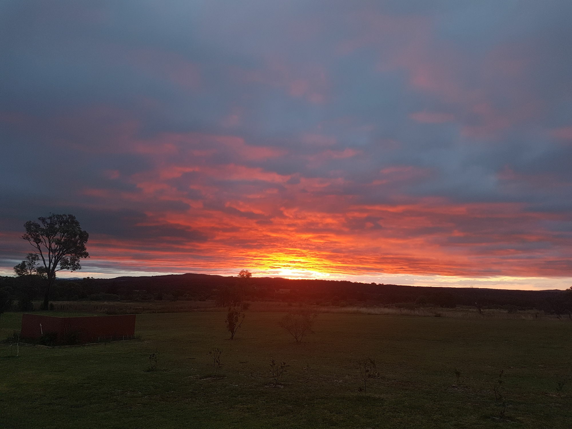 Grovely House Bed & Breakfast Stanthorpe Ngoại thất bức ảnh
