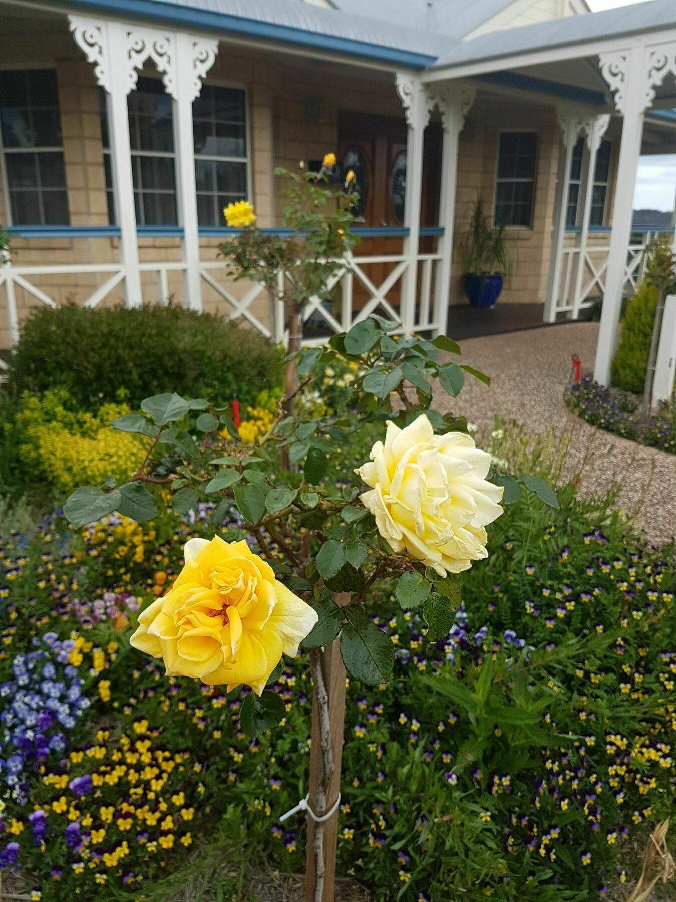 Grovely House Bed & Breakfast Stanthorpe Ngoại thất bức ảnh